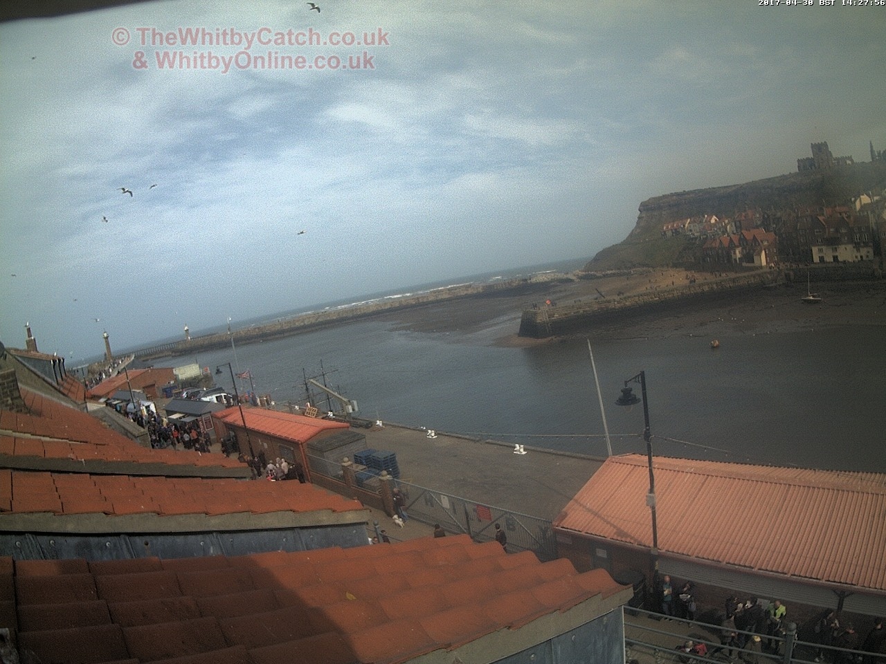 Whitby Sun 30th April 2017 14:28.
