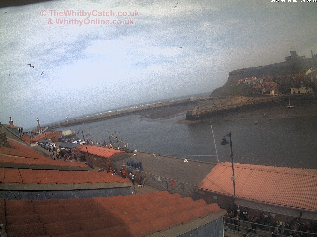 Whitby Sun 30th April 2017 14:31.