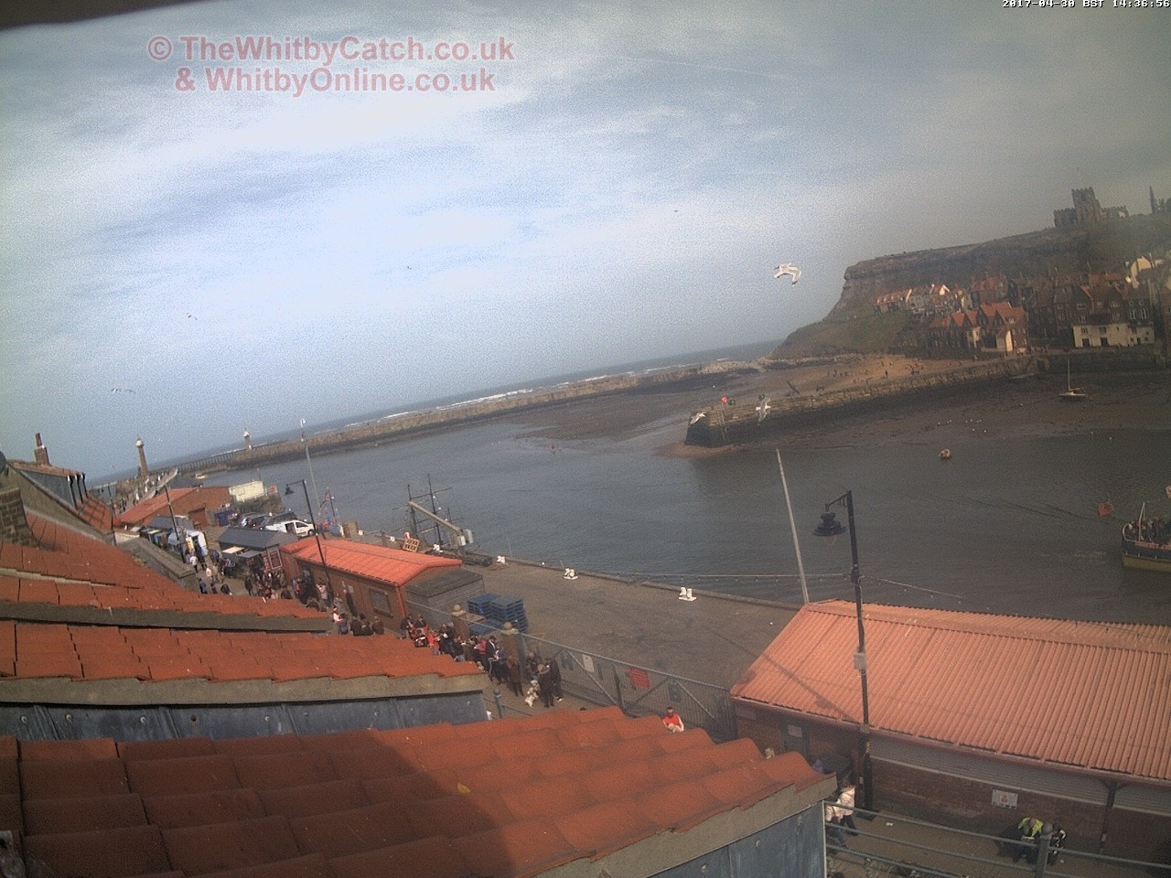 Whitby Sun 30th April 2017 14:37.