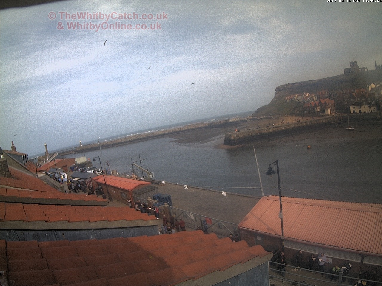 Whitby Sun 30th April 2017 14:43.
