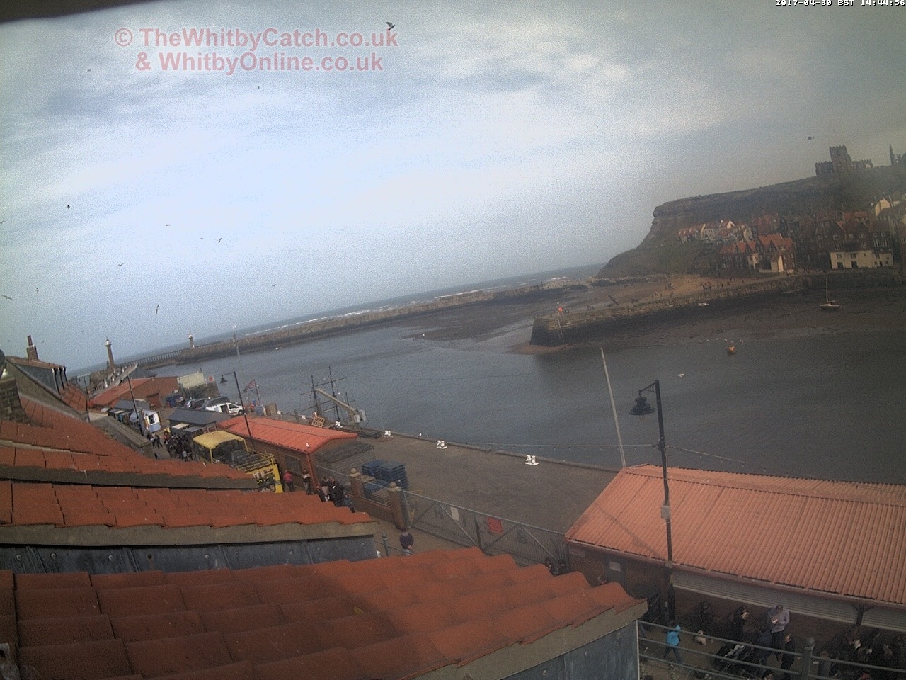 Whitby Sun 30th April 2017 14:45.