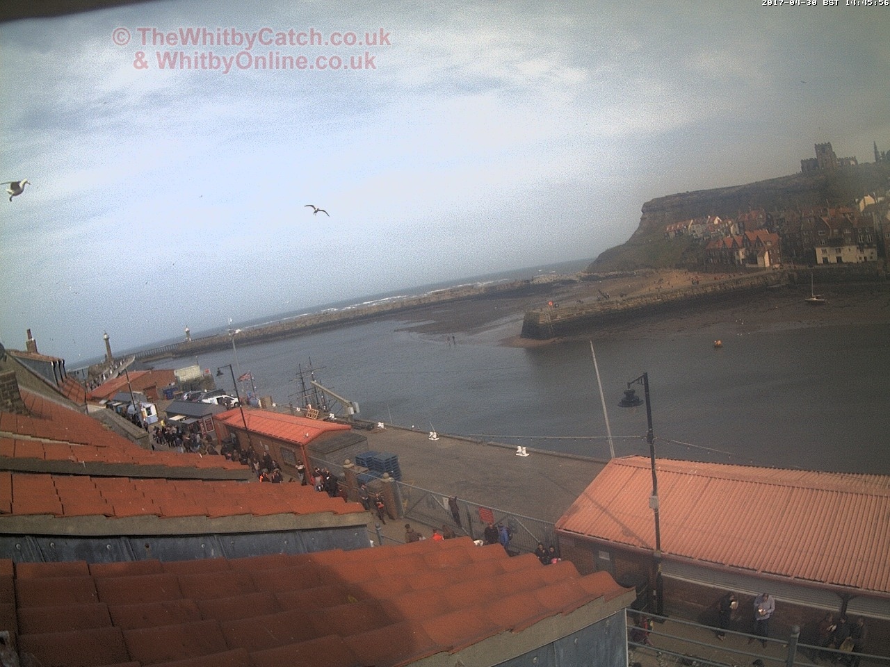 Whitby Sun 30th April 2017 14:46.
