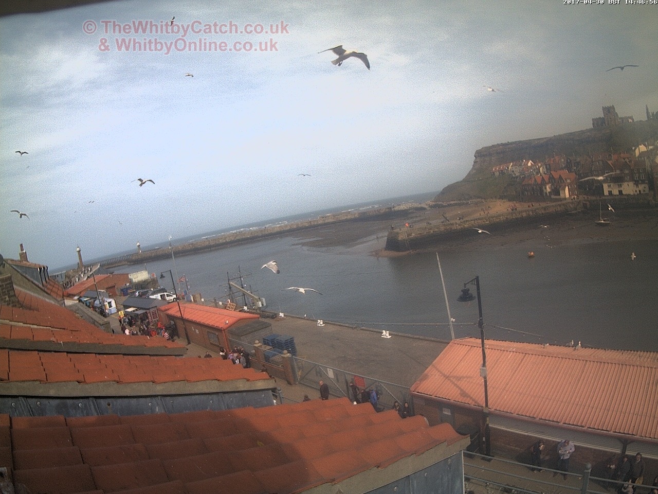 Whitby Sun 30th April 2017 14:47.