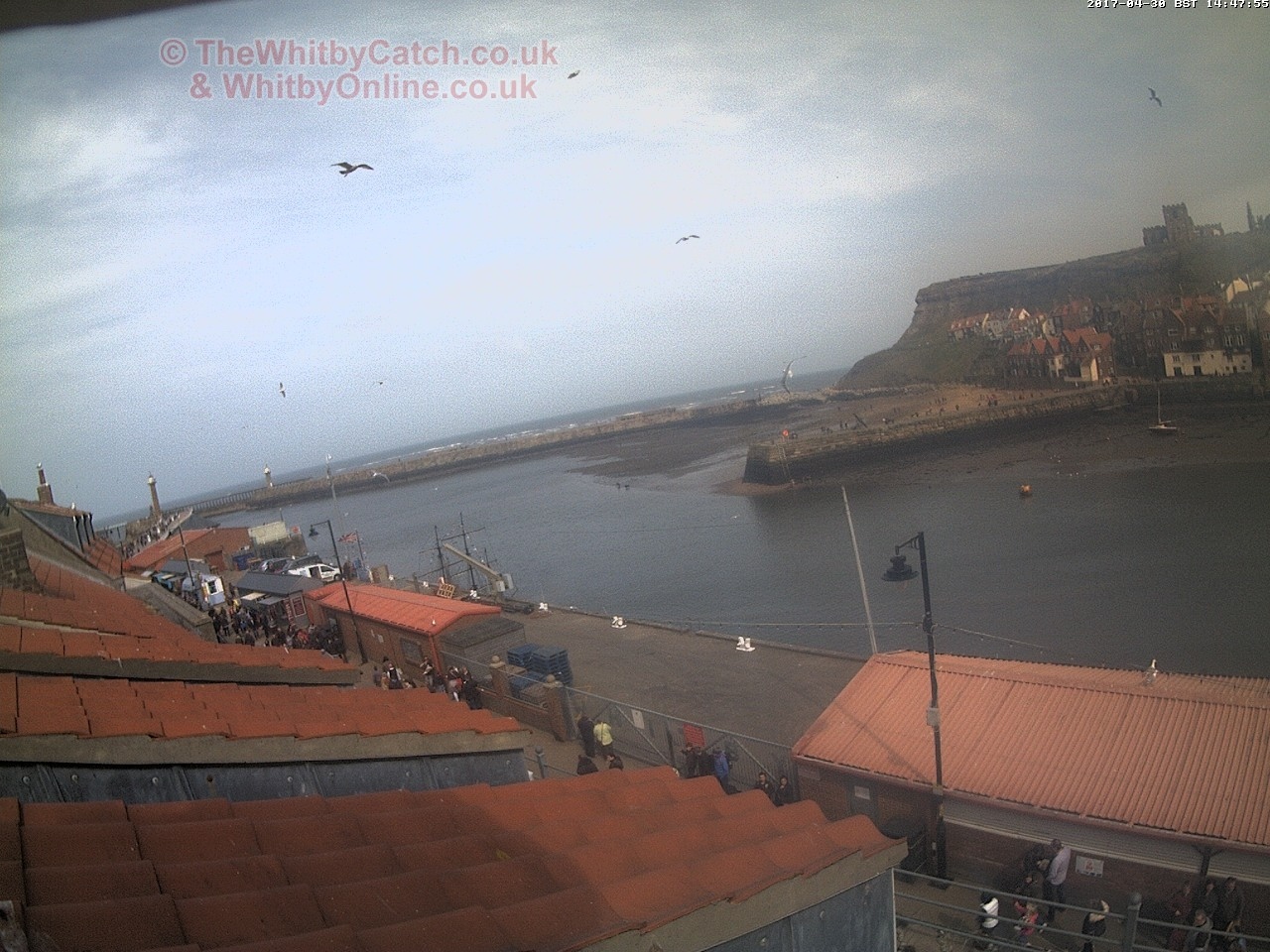 Whitby Sun 30th April 2017 14:48.