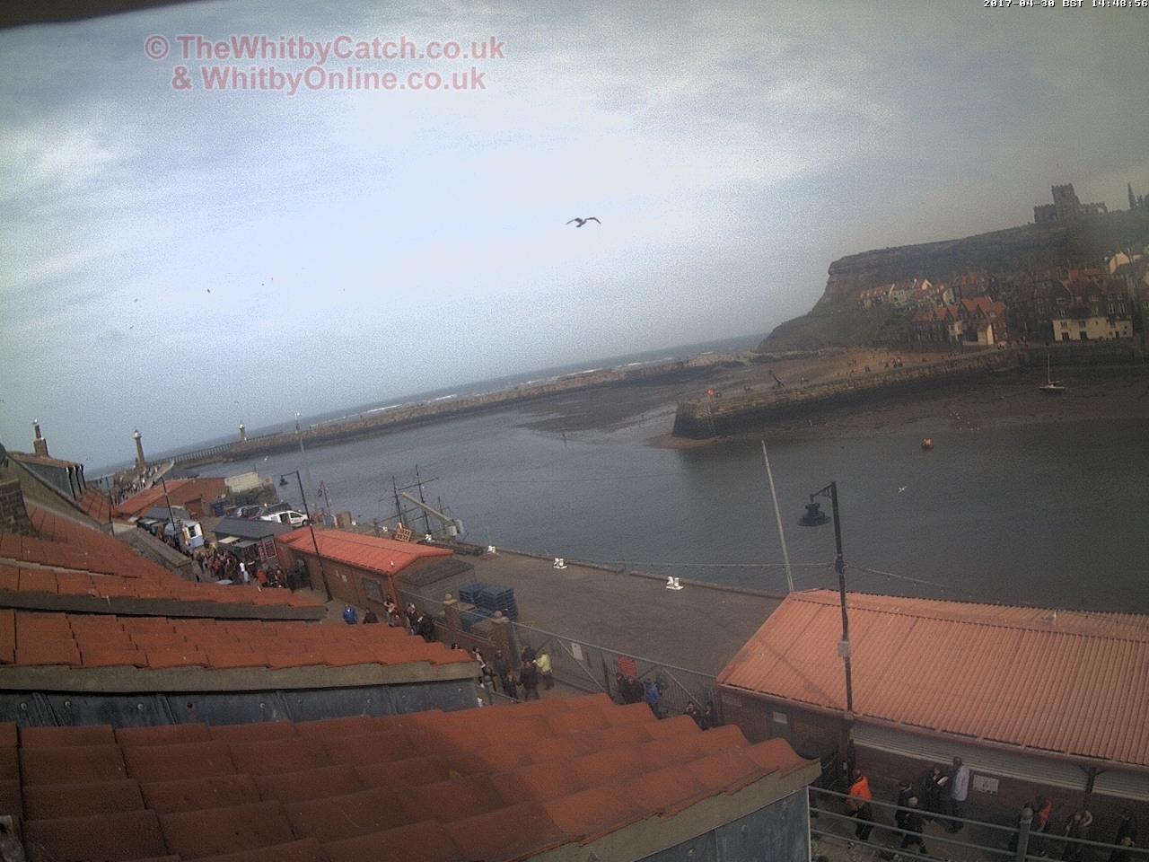 Whitby Sun 30th April 2017 14:49.