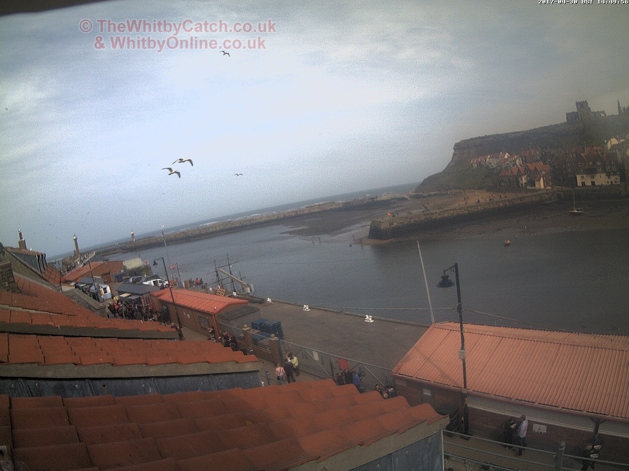 Whitby Sun 30th April 2017 14:50.