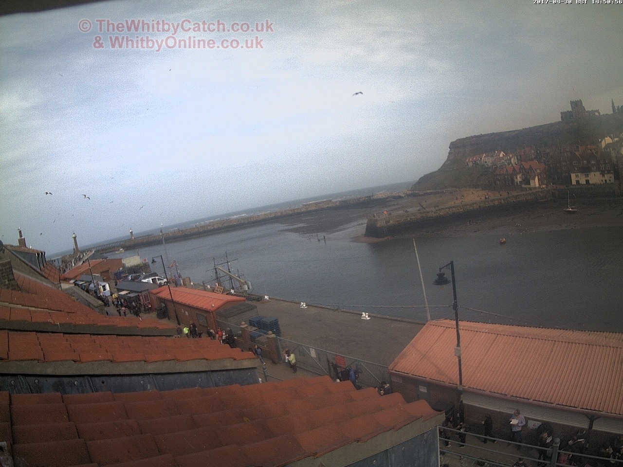Whitby Sun 30th April 2017 14:51.