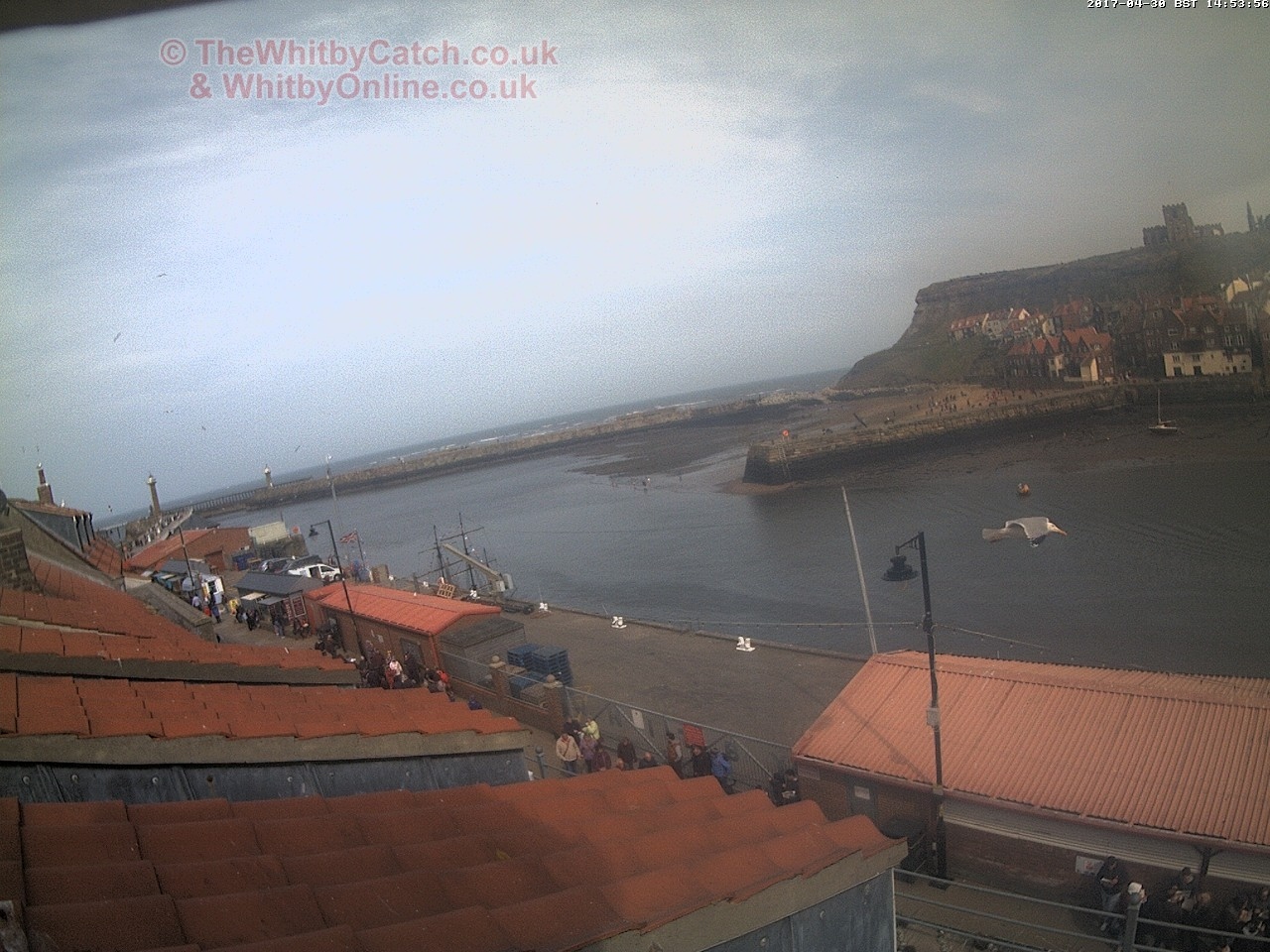 Whitby Sun 30th April 2017 14:54.