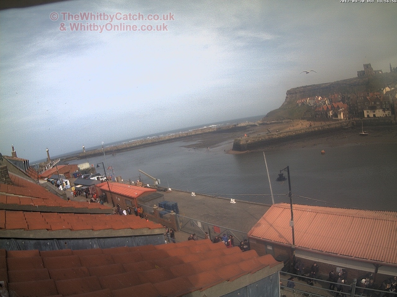 Whitby Sun 30th April 2017 14:57.