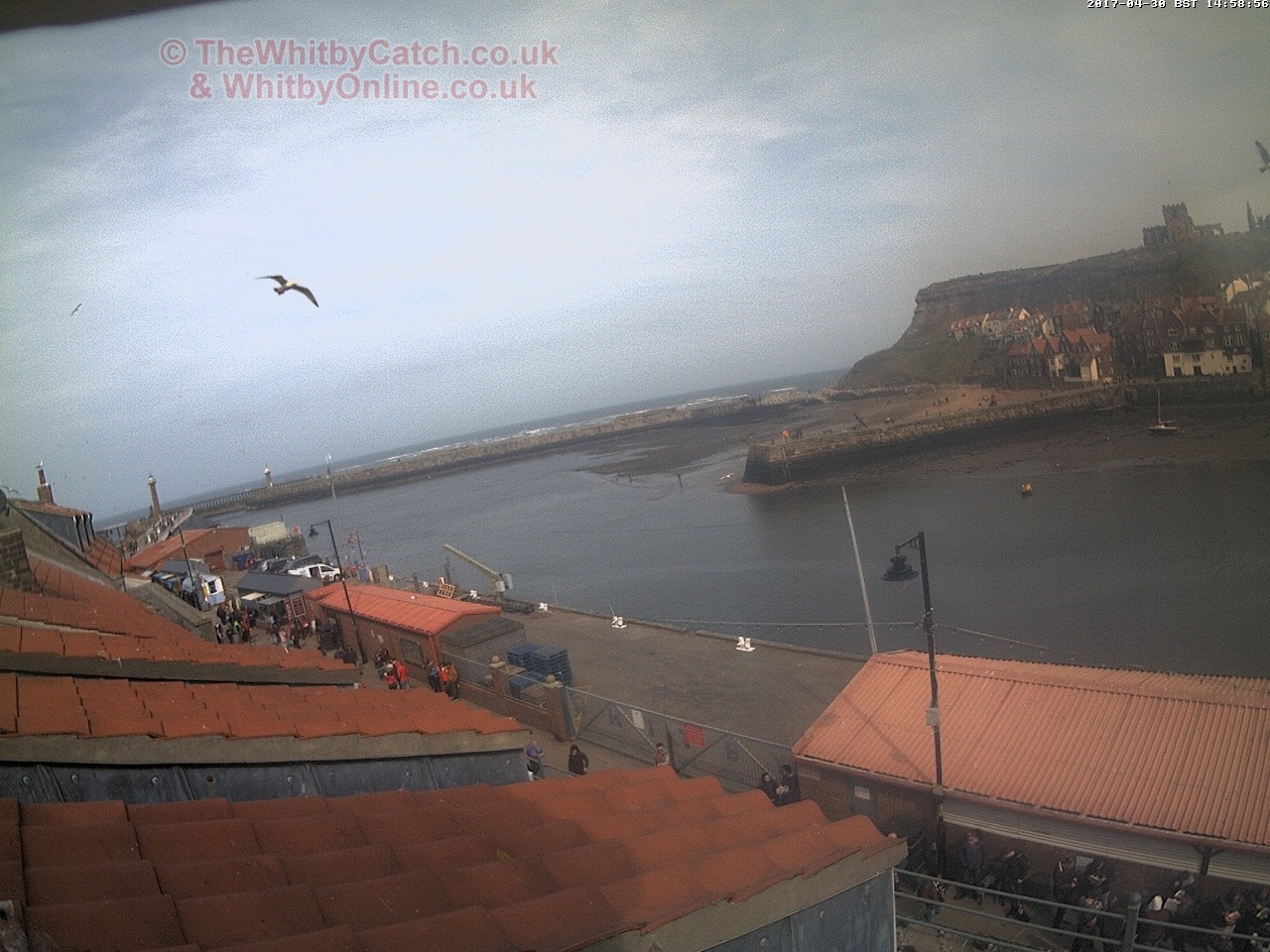 Whitby Sun 30th April 2017 14:59.