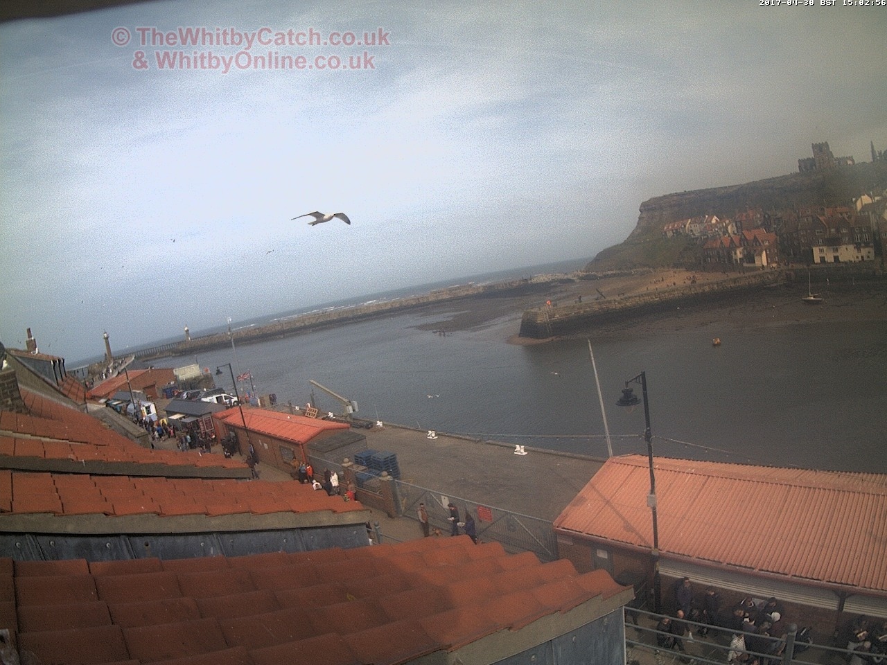 Whitby Sun 30th April 2017 15:03.