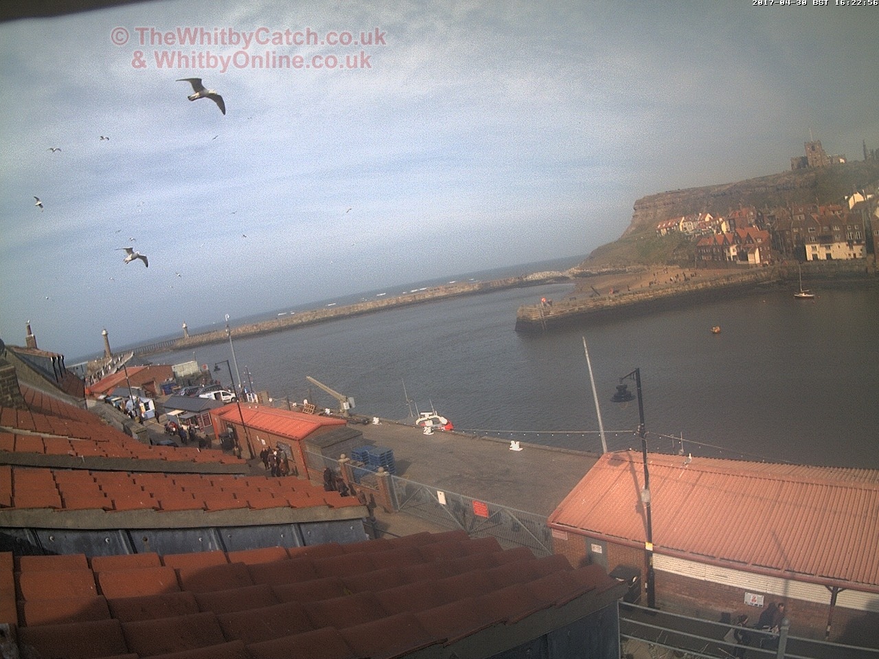 Whitby Sun 30th April 2017 16:23.