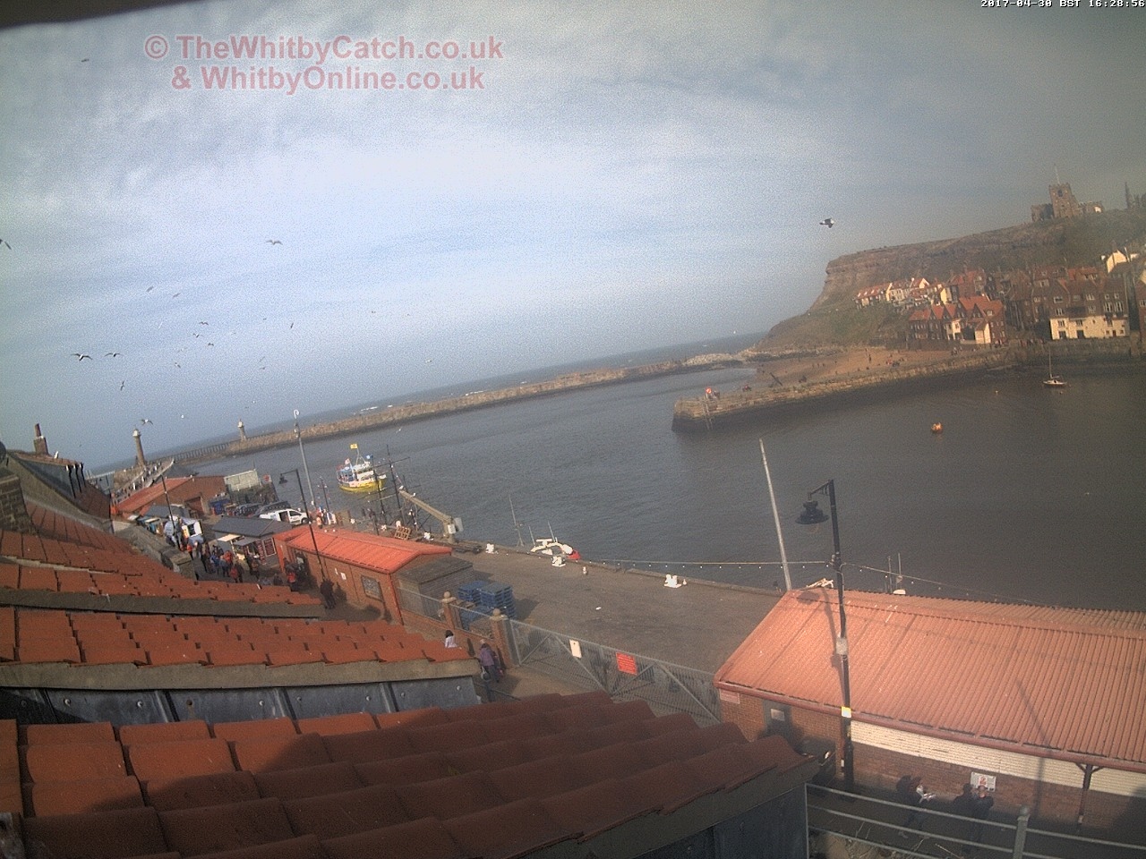 Whitby Sun 30th April 2017 16:29.