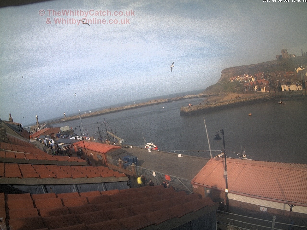 Whitby Sun 30th April 2017 16:37.