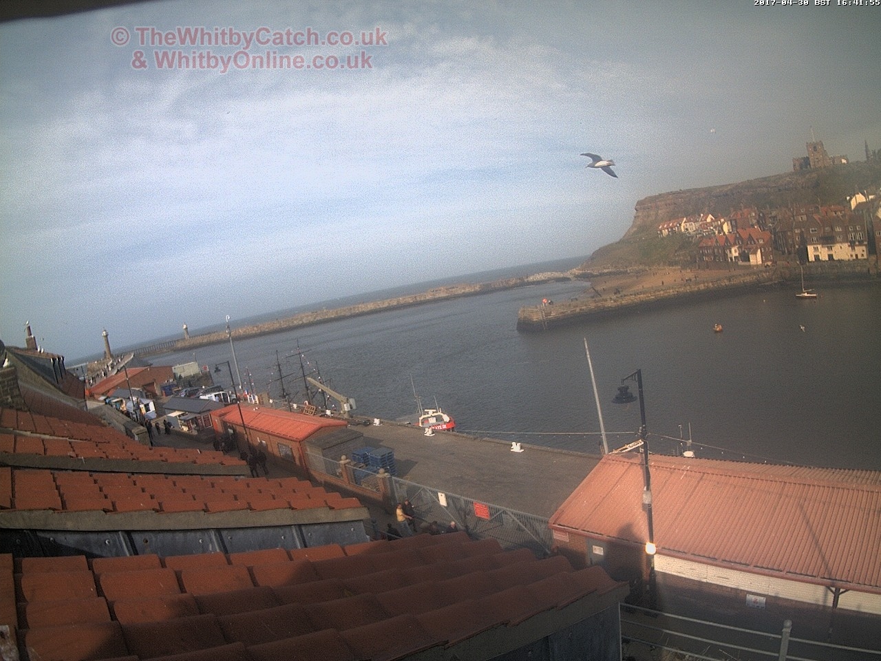 Whitby Sun 30th April 2017 16:42.