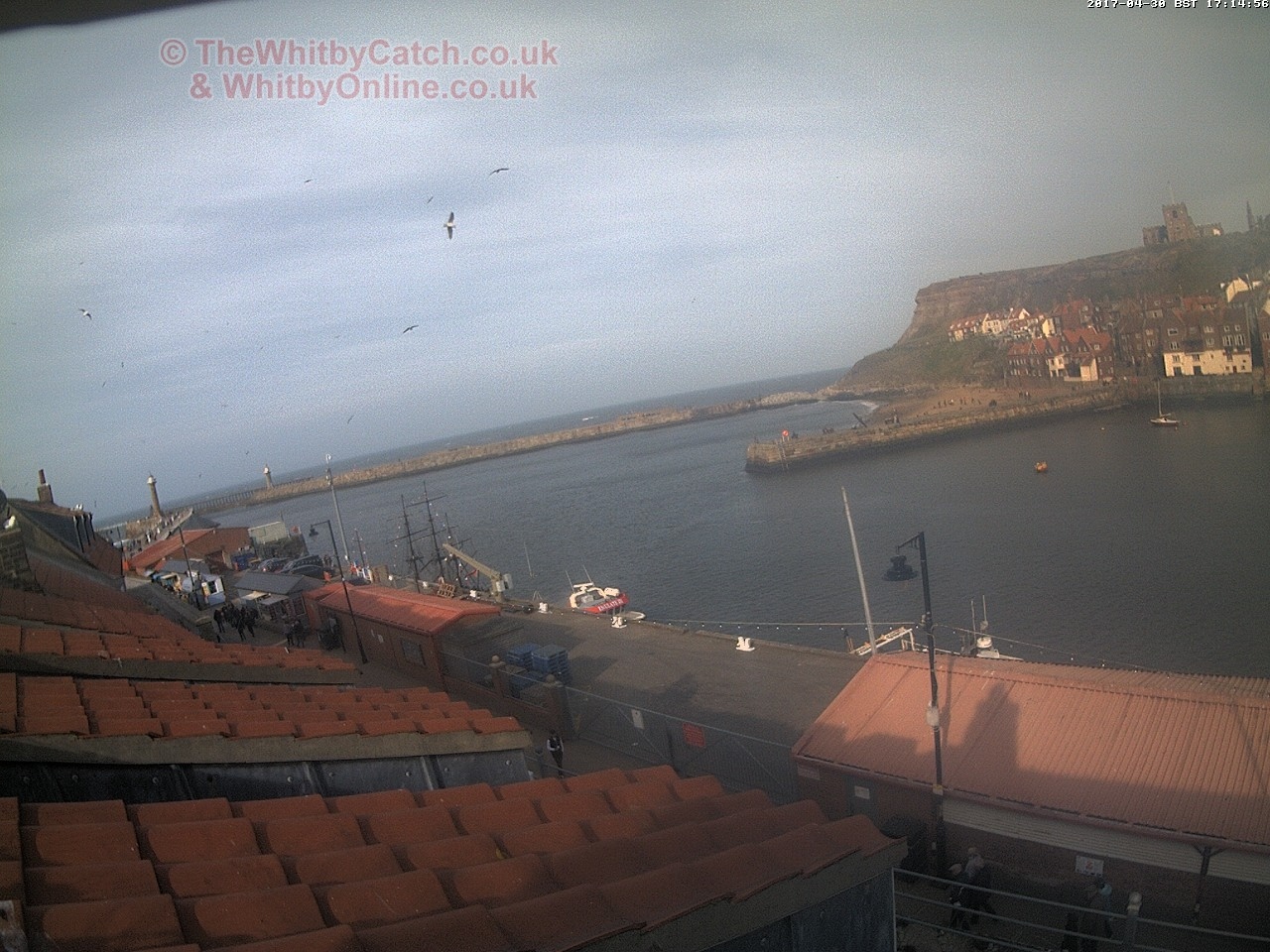 Whitby Sun 30th April 2017 17:15.