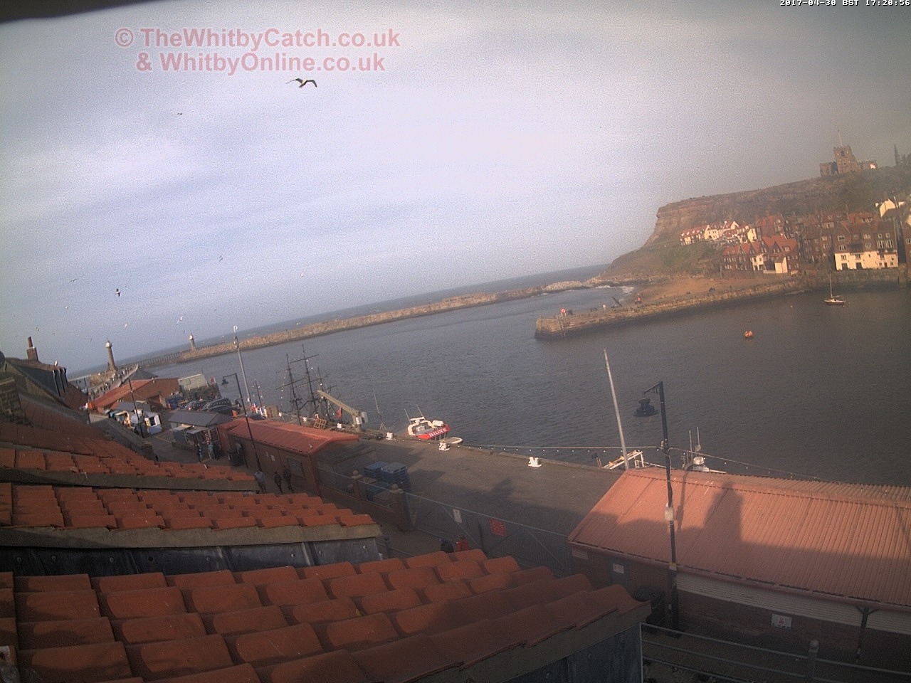 Whitby Sun 30th April 2017 17:21.