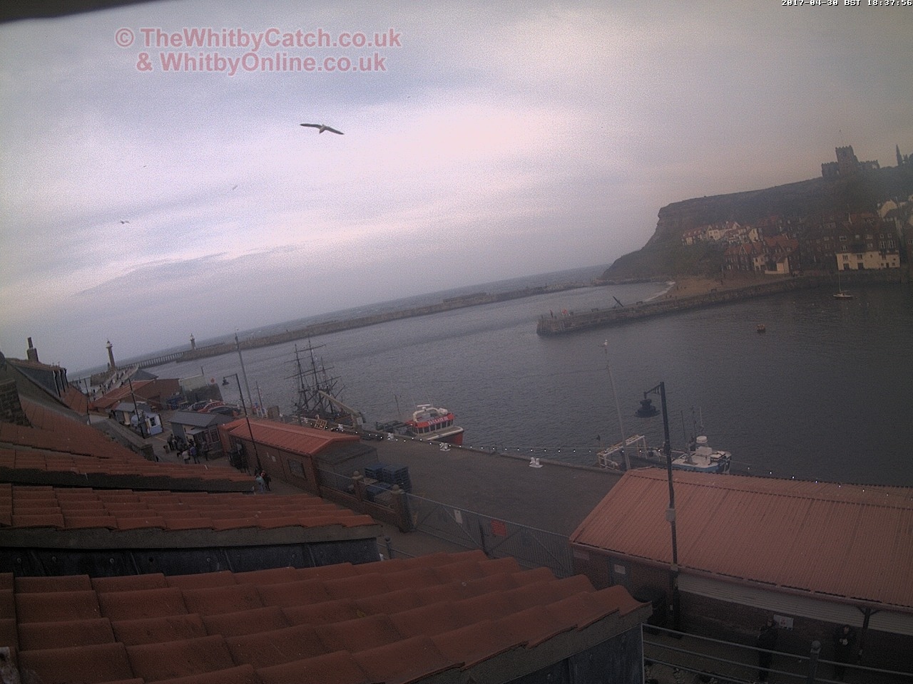 Whitby Sun 30th April 2017 18:38.