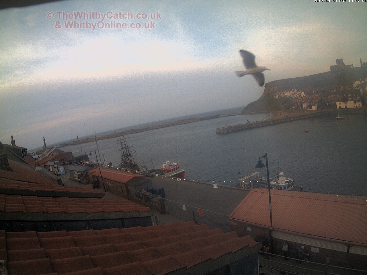 Whitby Sun 30th April 2017 19:38.