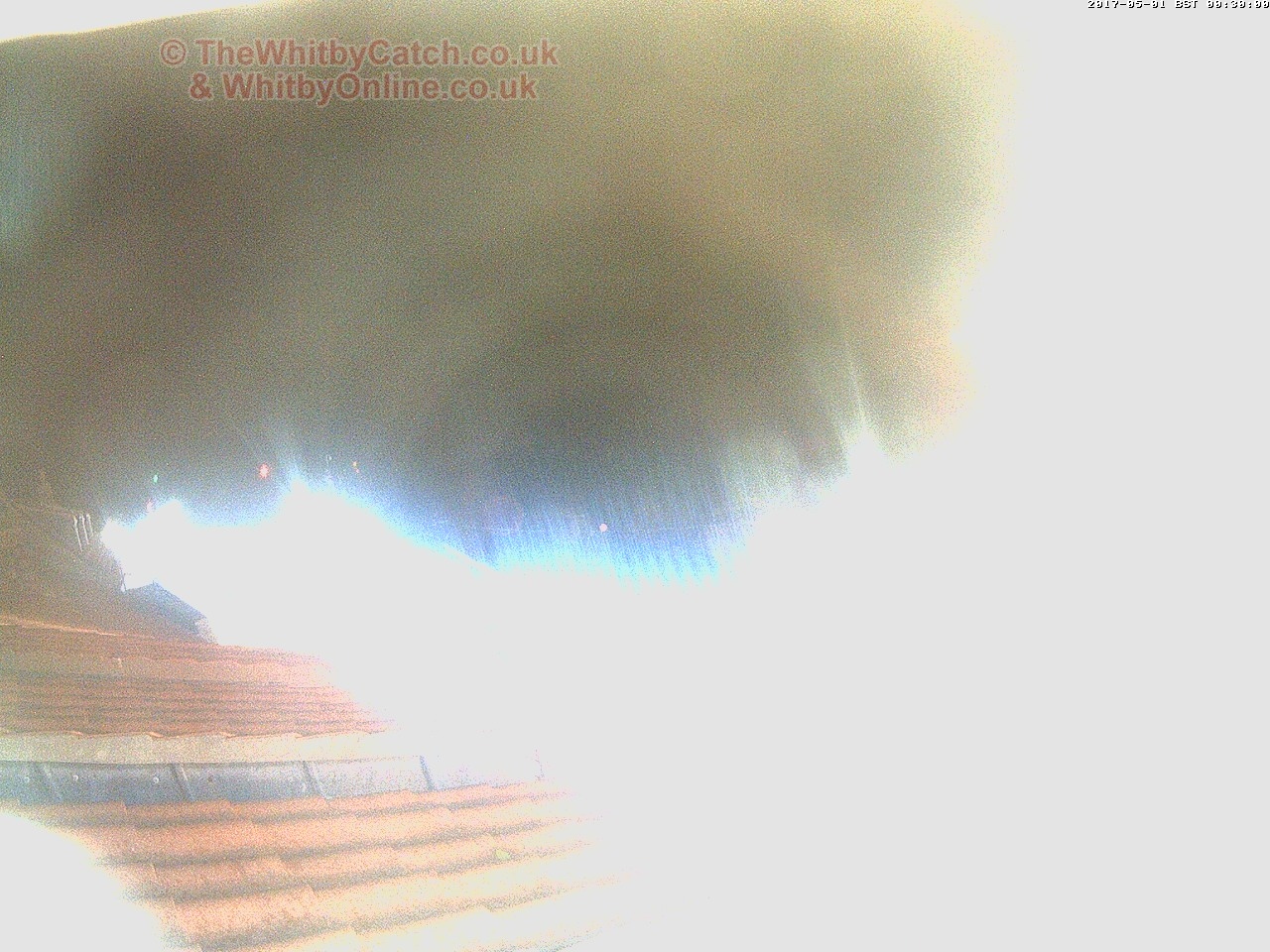 Whitby Mon 1st May 2017 00:30.