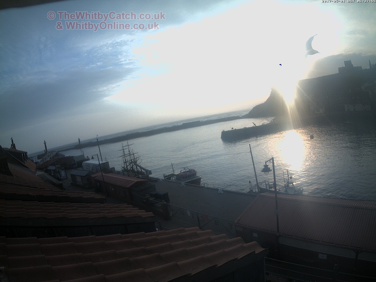 Whitby Mon 1st May 2017 06:38.
