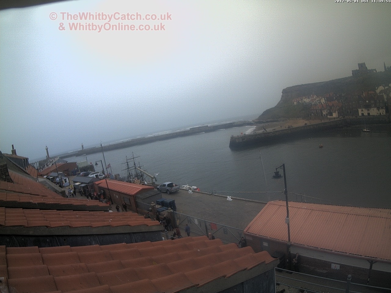 Whitby Mon 1st May 2017 11:50.