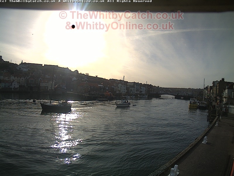 Jeff, Rose & Lunar Departure