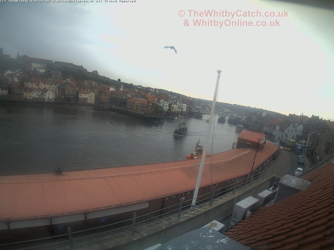 Whitby Sat 29th April 2017 09:35.