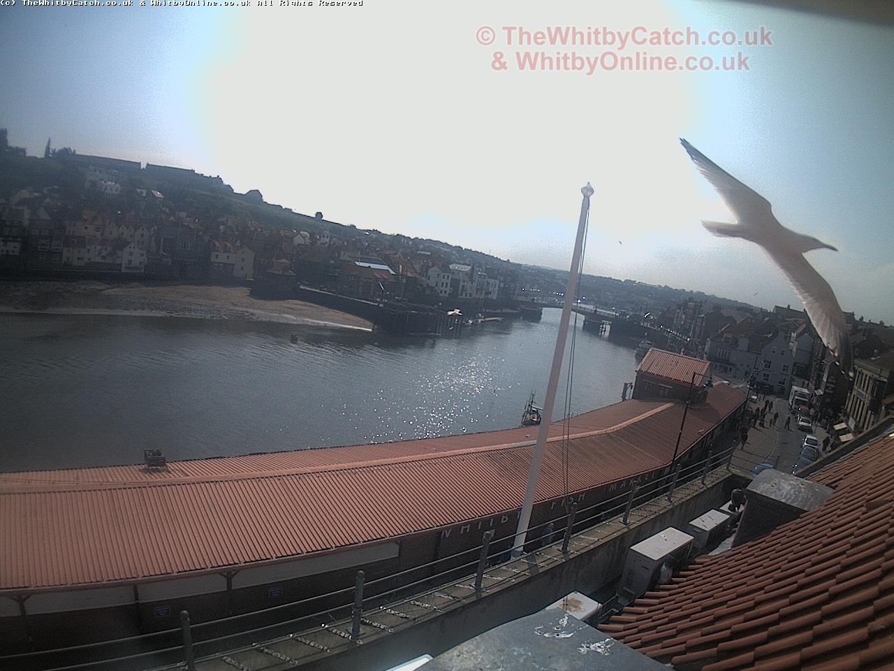 Whitby Sat 29th April 2017 11:05.