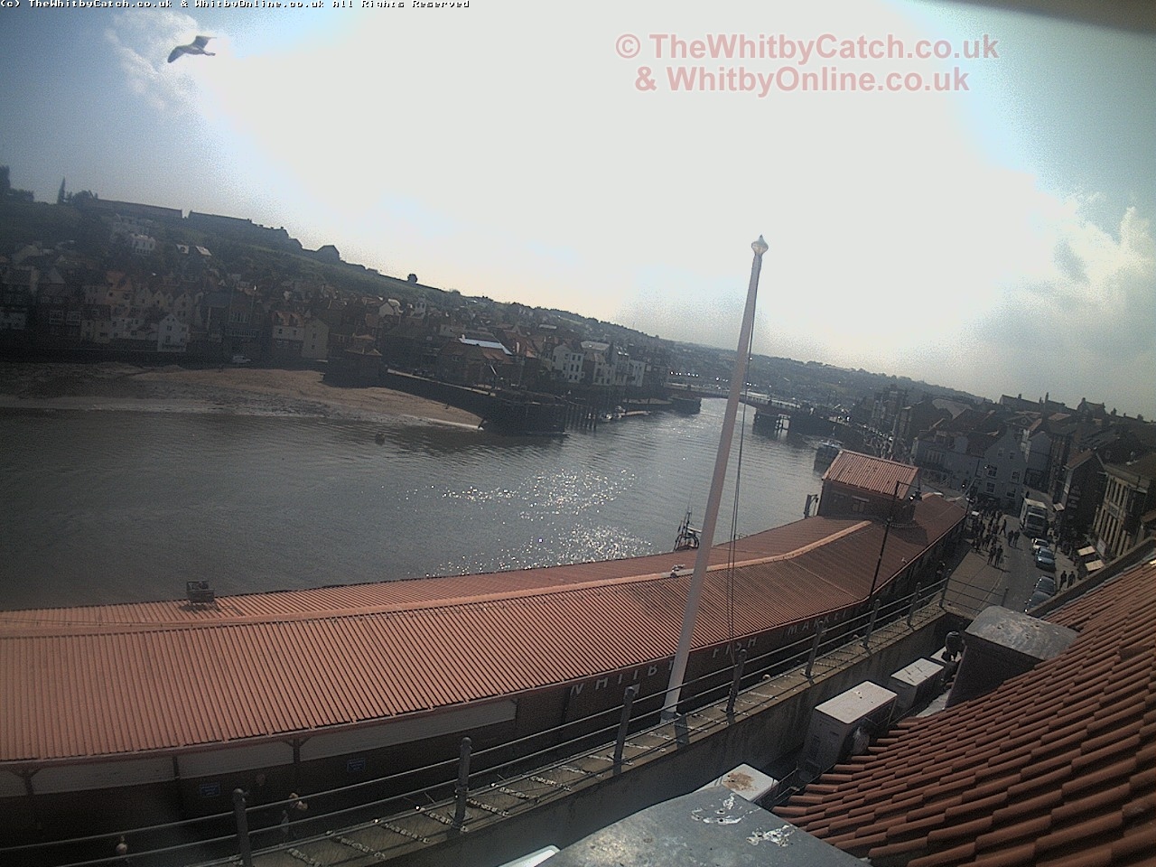 Whitby Sat 29th April 2017 11:19.