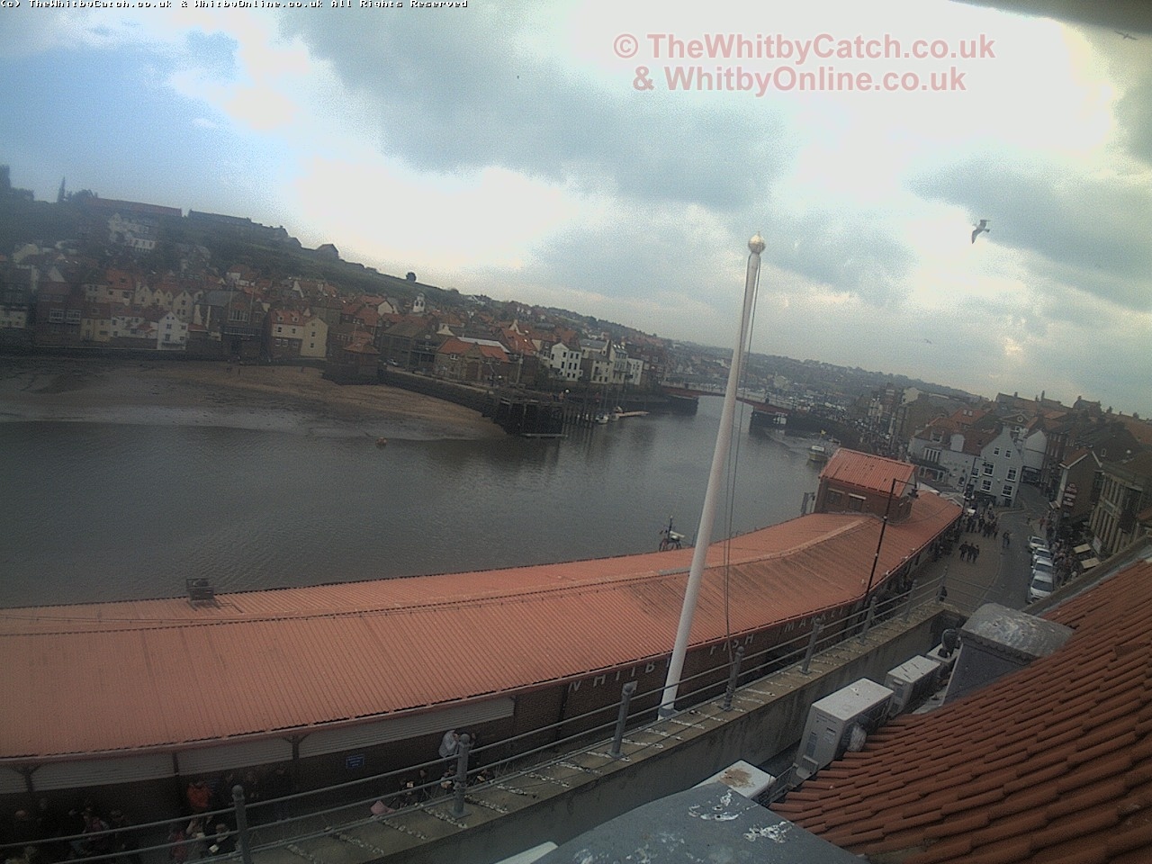 Whitby Sat 29th April 2017 13:30.