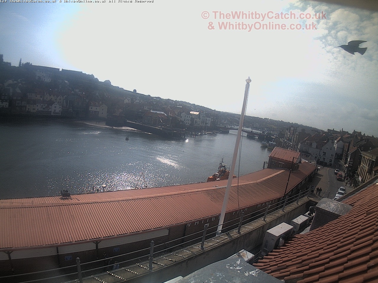 Whitby Sun 30th April 2017 10:27.