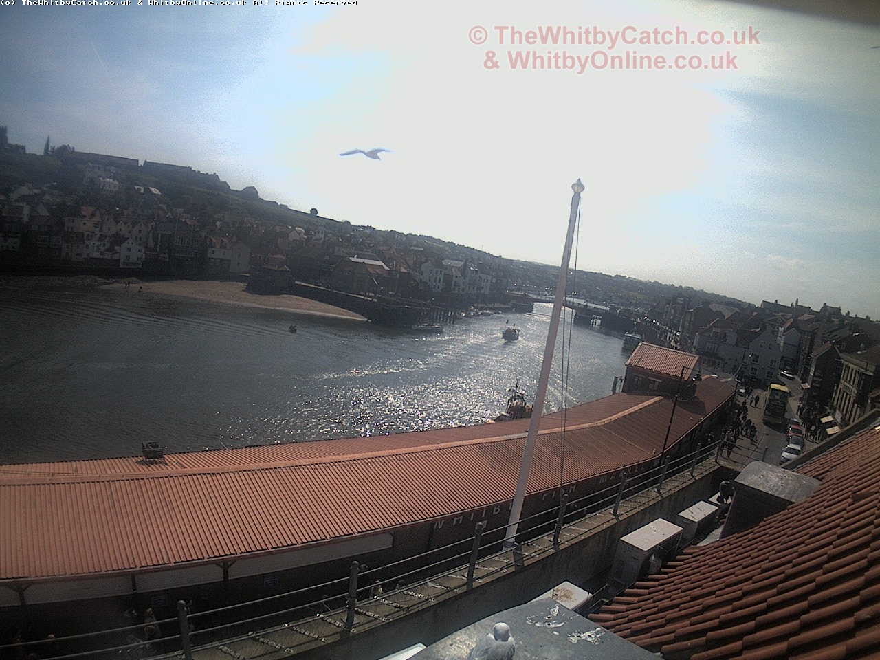 Whitby Sun 30th April 2017 11:20.