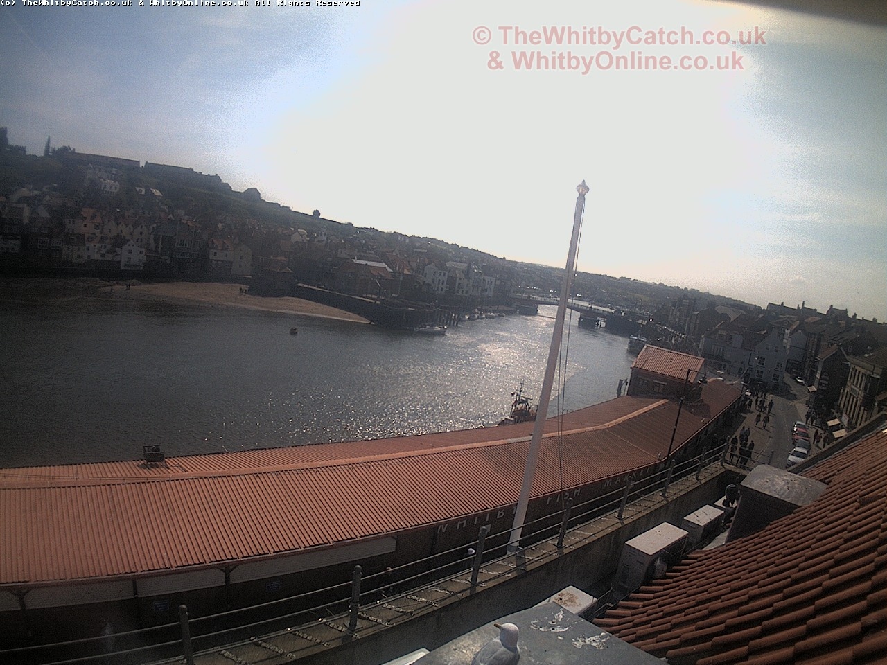 Whitby Sun 30th April 2017 11:24.
