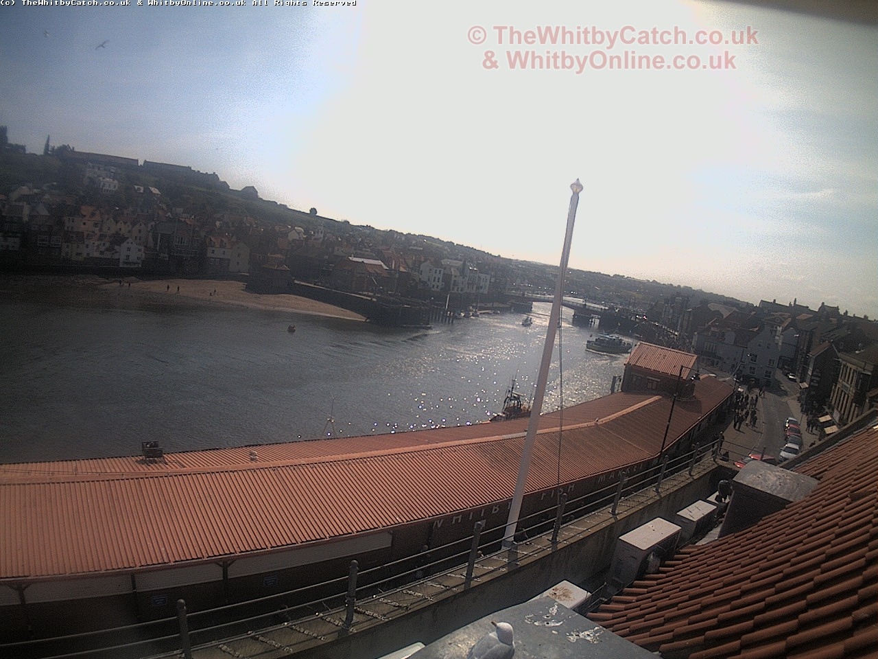 Whitby Sun 30th April 2017 11:30.