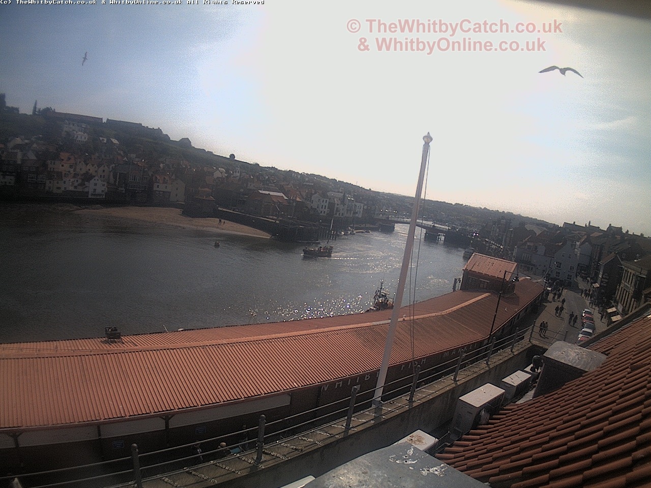 Whitby Sun 30th April 2017 11:36.