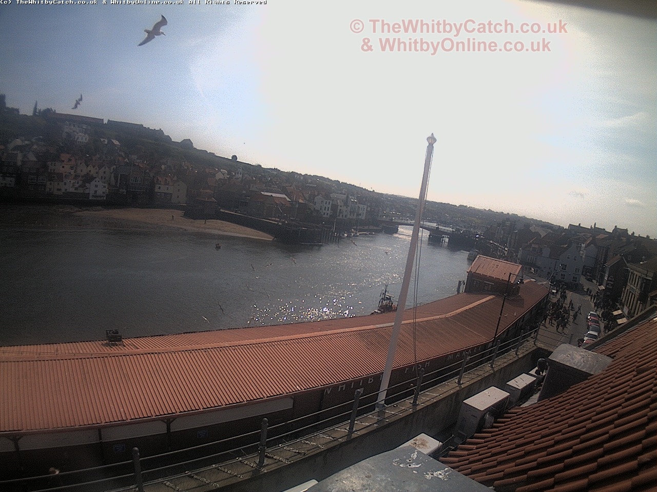 Whitby Sun 30th April 2017 11:37.