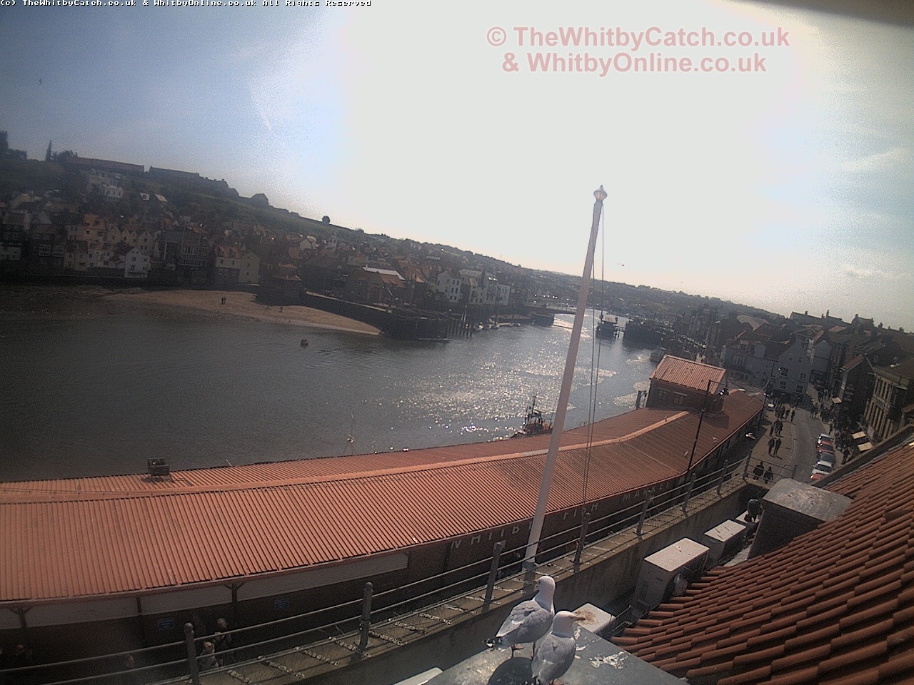 Whitby Sun 30th April 2017 11:38.
