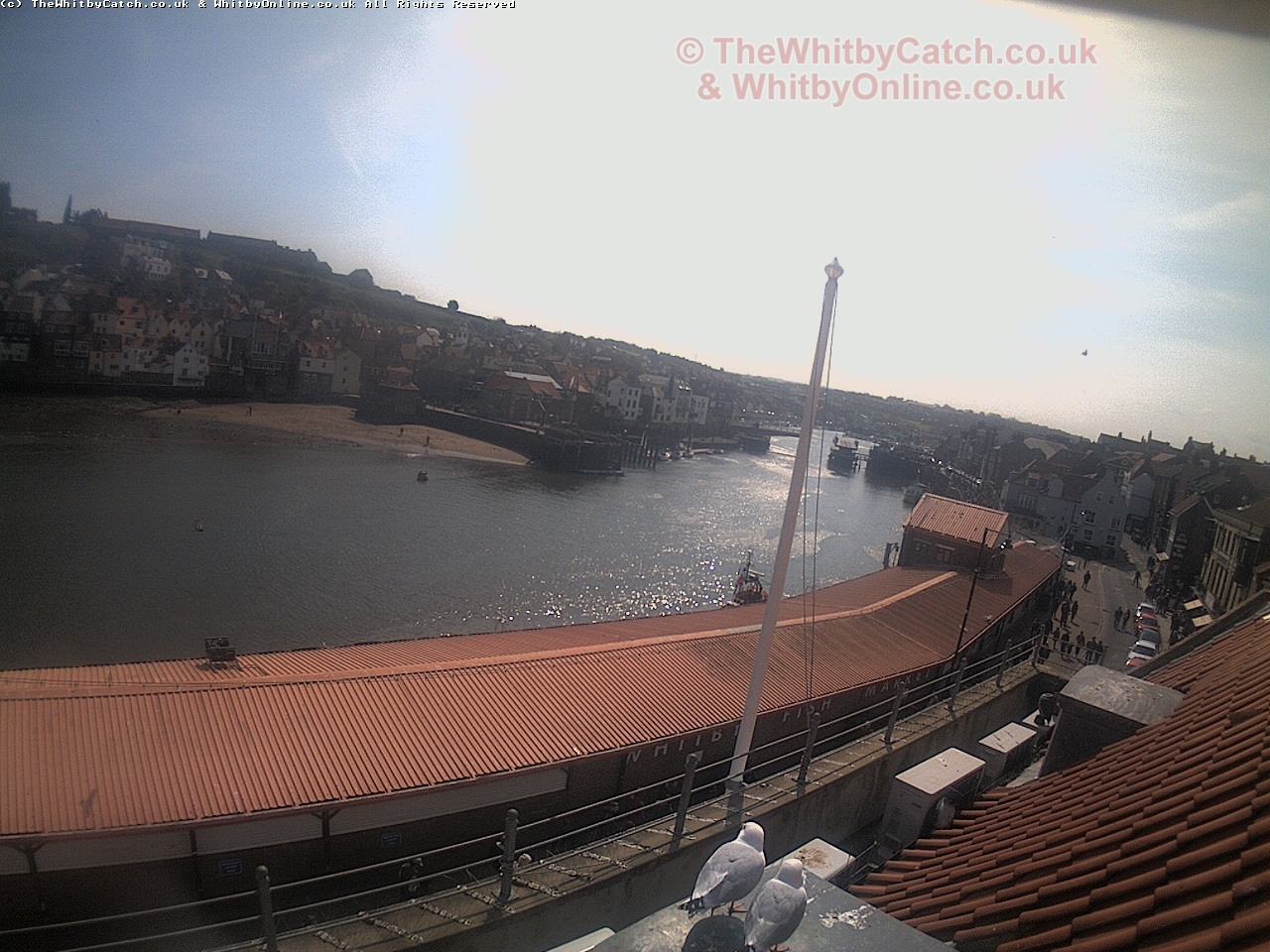 Whitby Sun 30th April 2017 11:39.