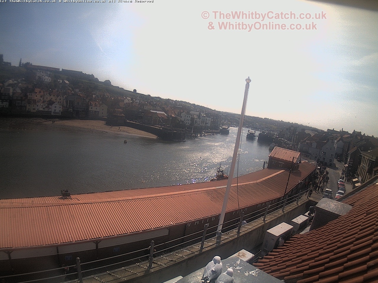 Whitby Sun 30th April 2017 11:40.