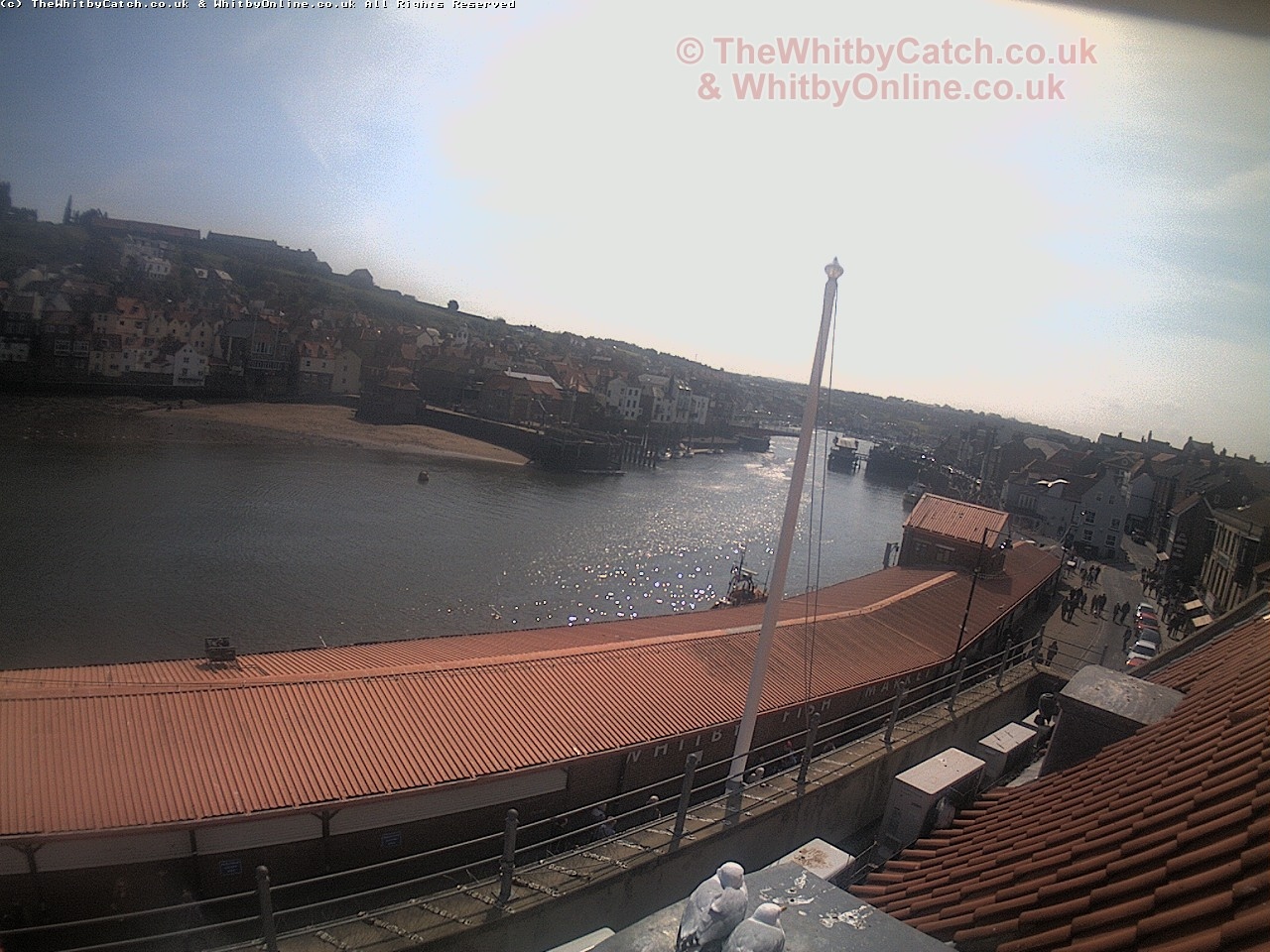 Whitby Sun 30th April 2017 11:41.