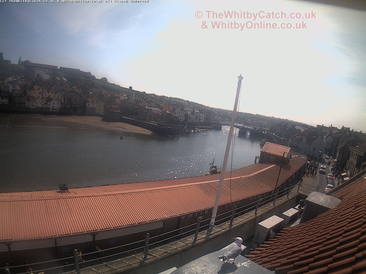 Whitby Sun 30th April 2017 11:51.
