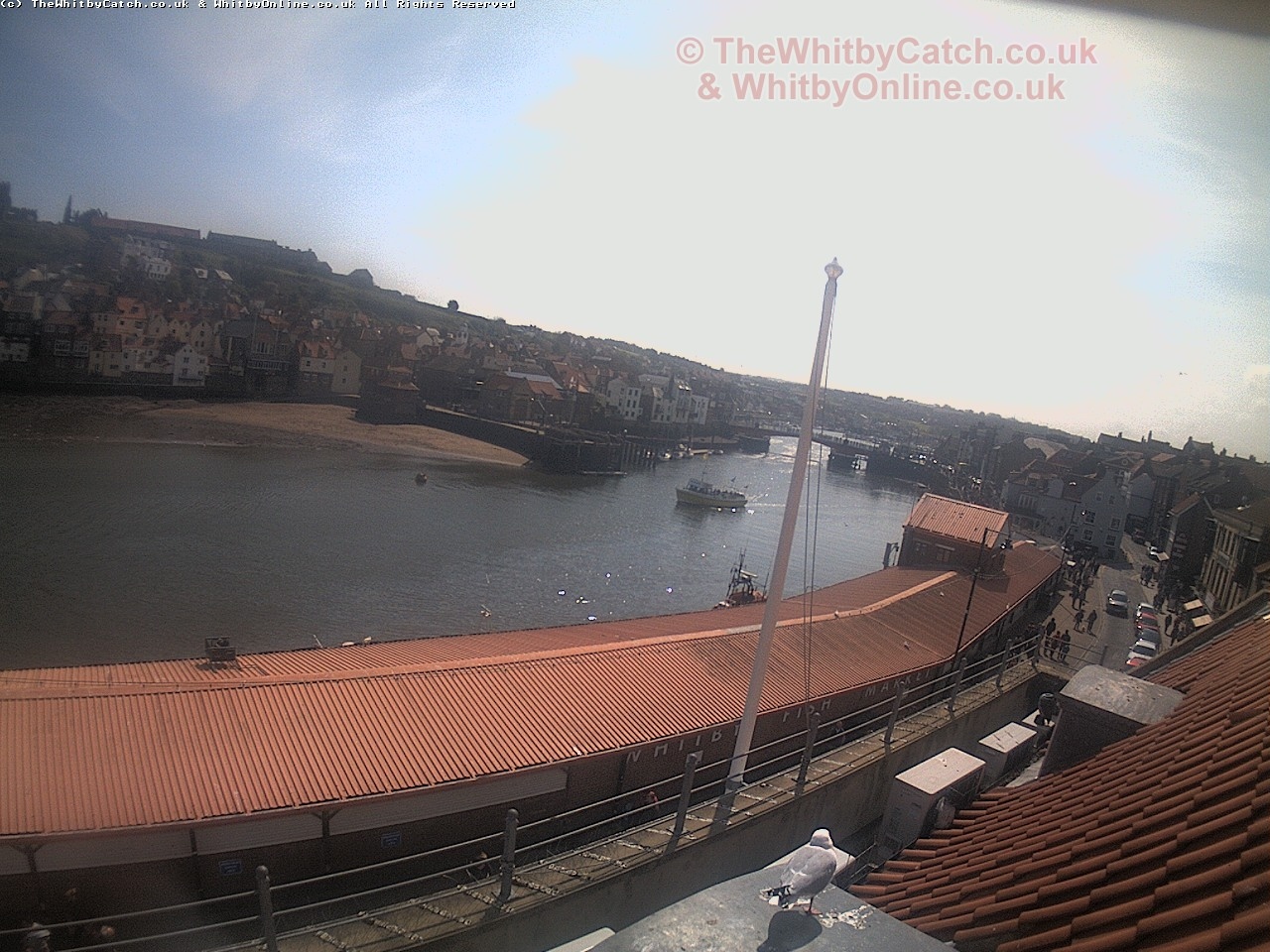 Whitby Sun 30th April 2017 11:52.