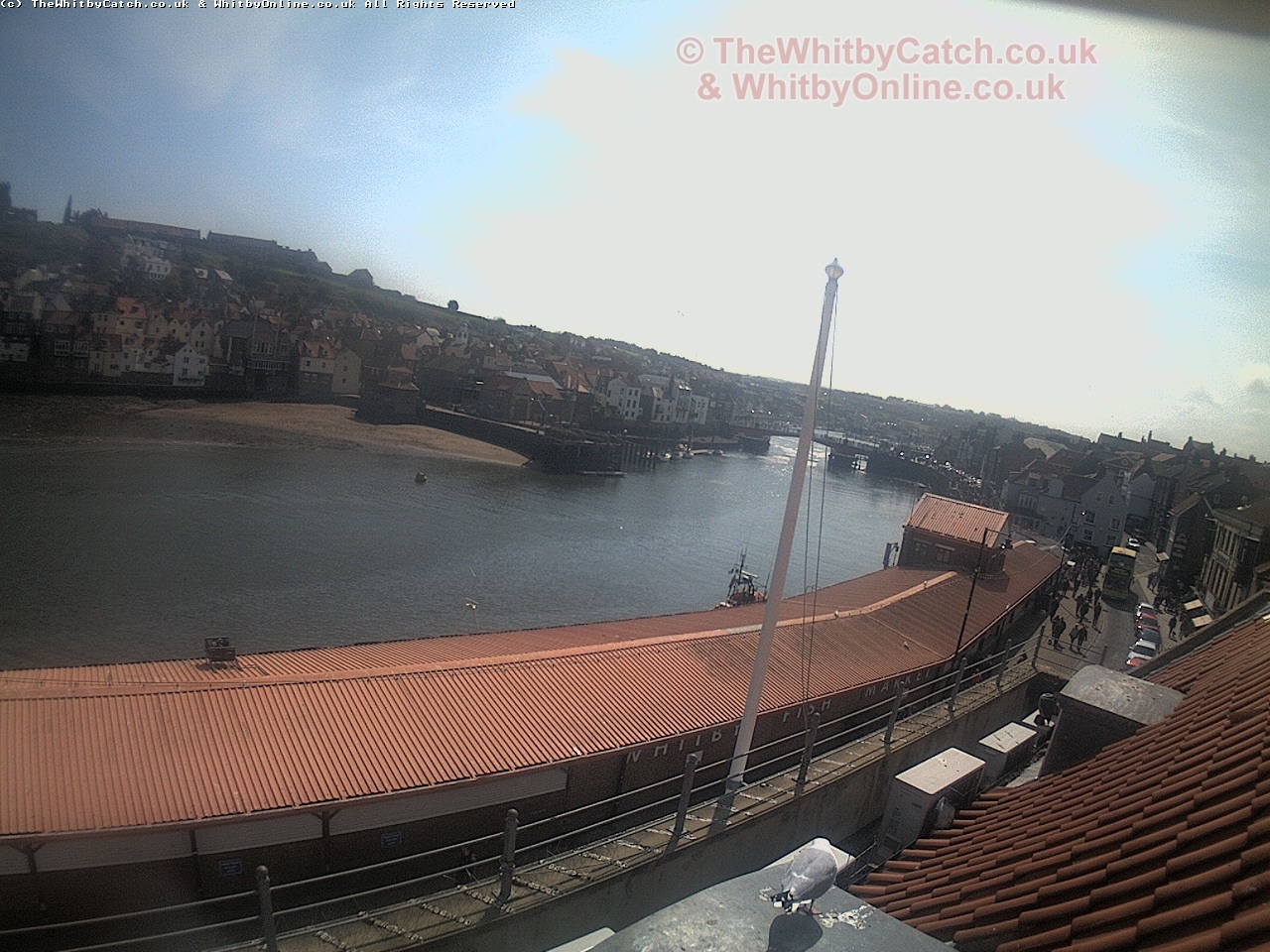 Whitby Sun 30th April 2017 11:53.