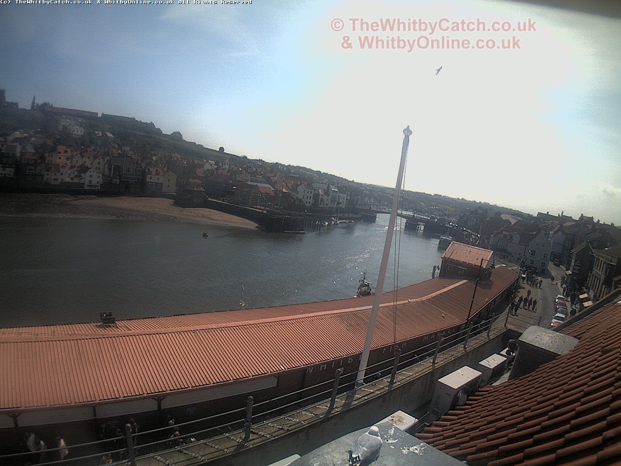 Whitby Sun 30th April 2017 11:59.