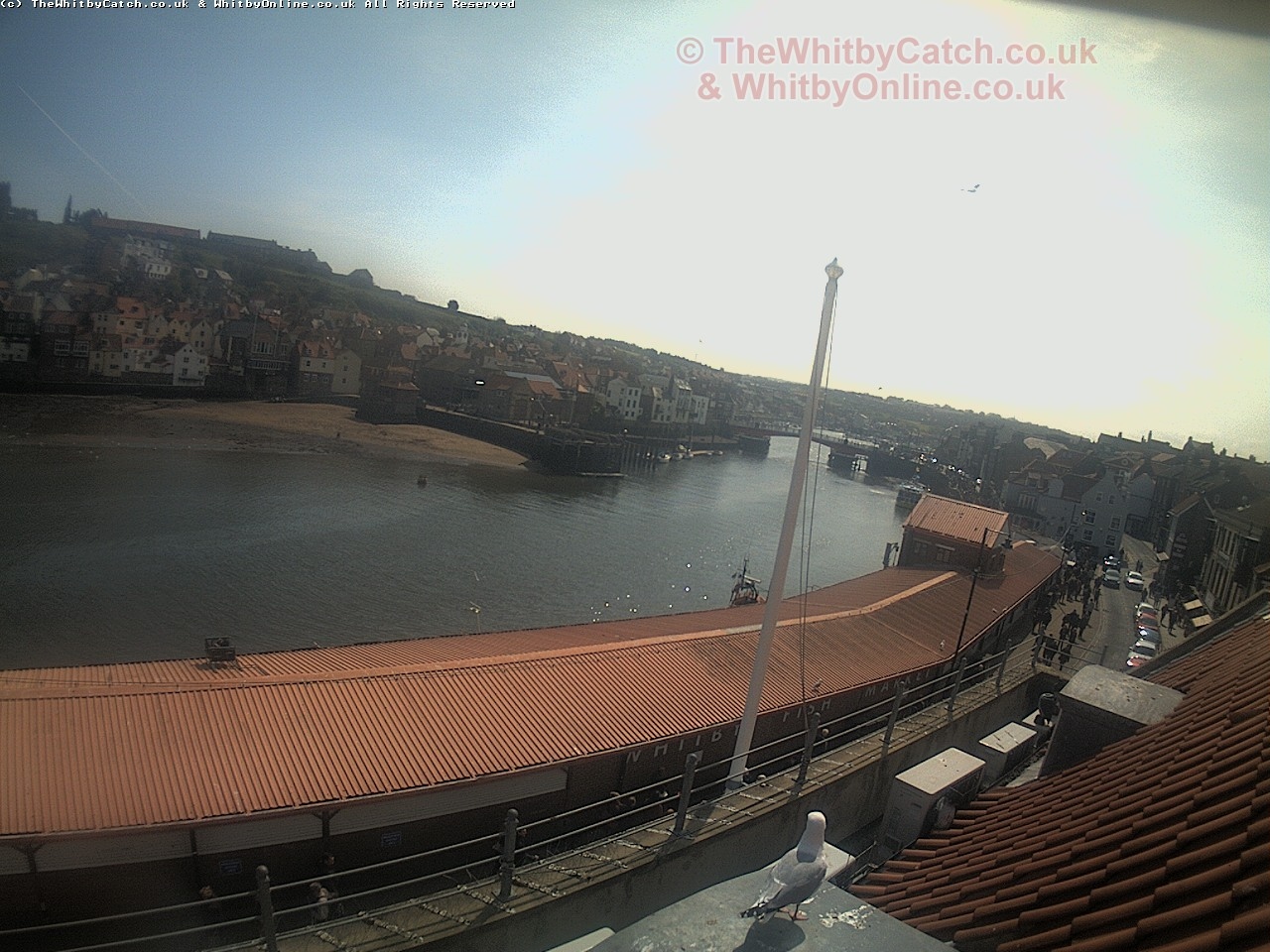 Whitby Sun 30th April 2017 12:11.