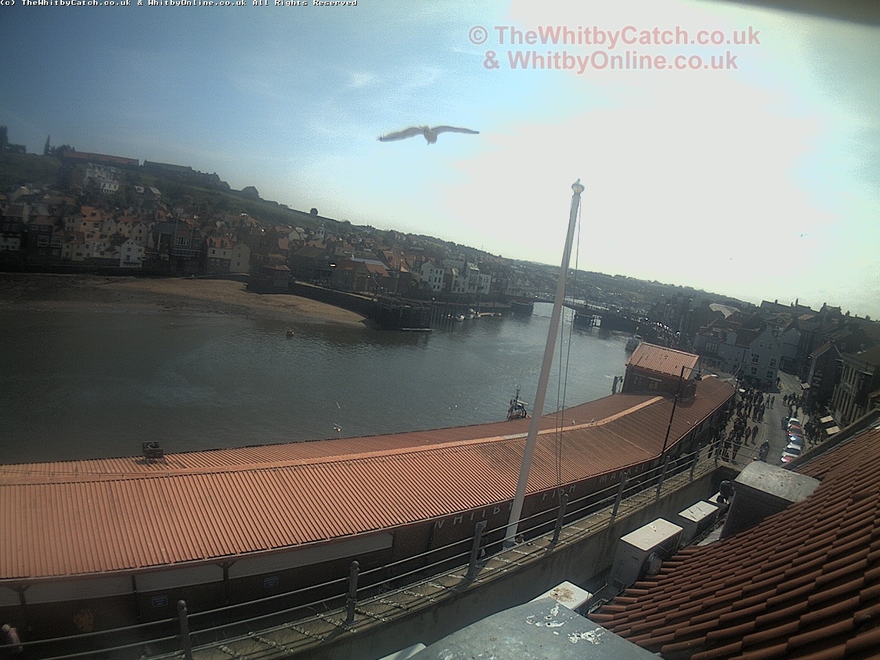 Whitby Sun 30th April 2017 12:19.
