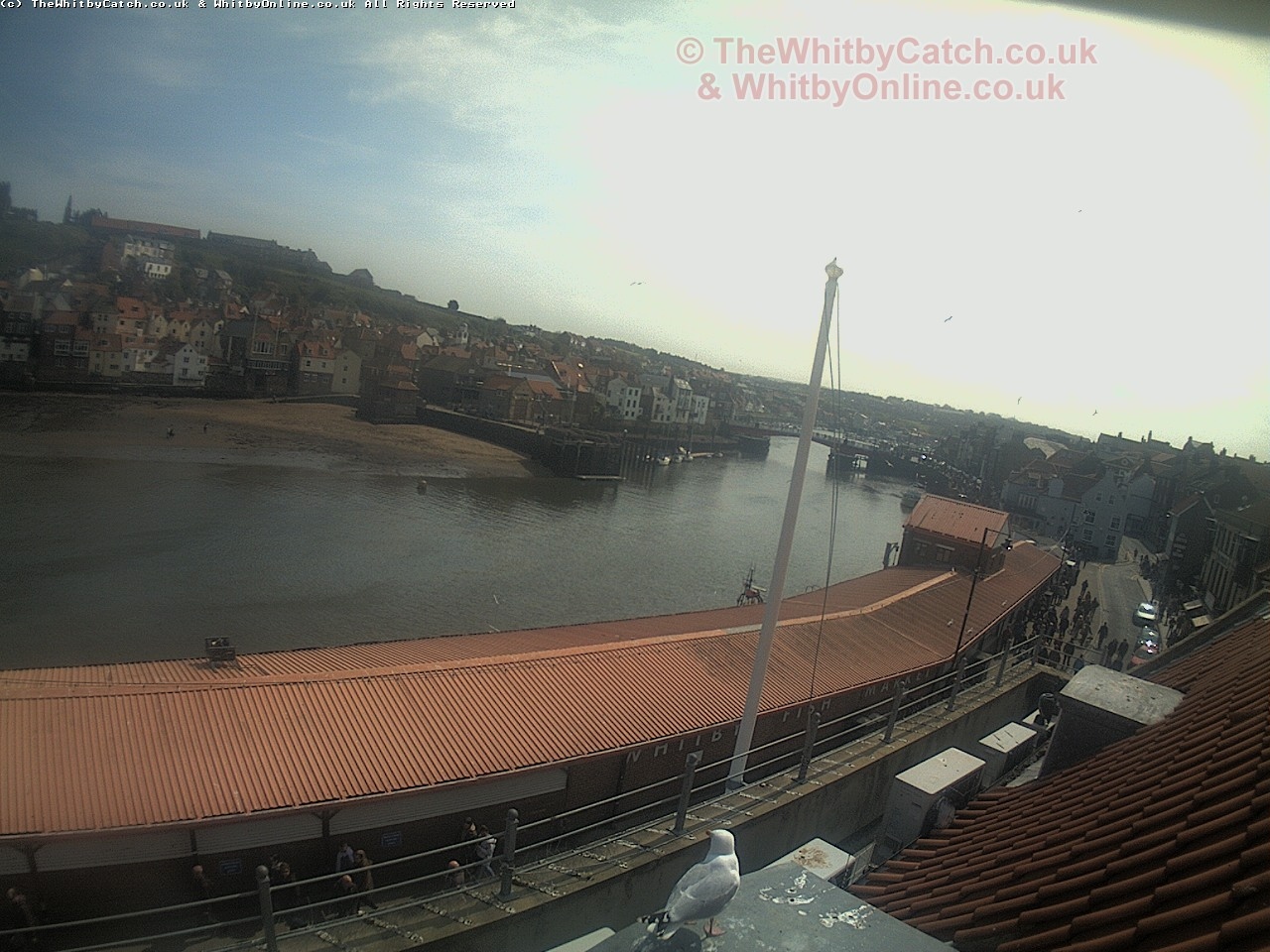 Whitby Sun 30th April 2017 13:02.