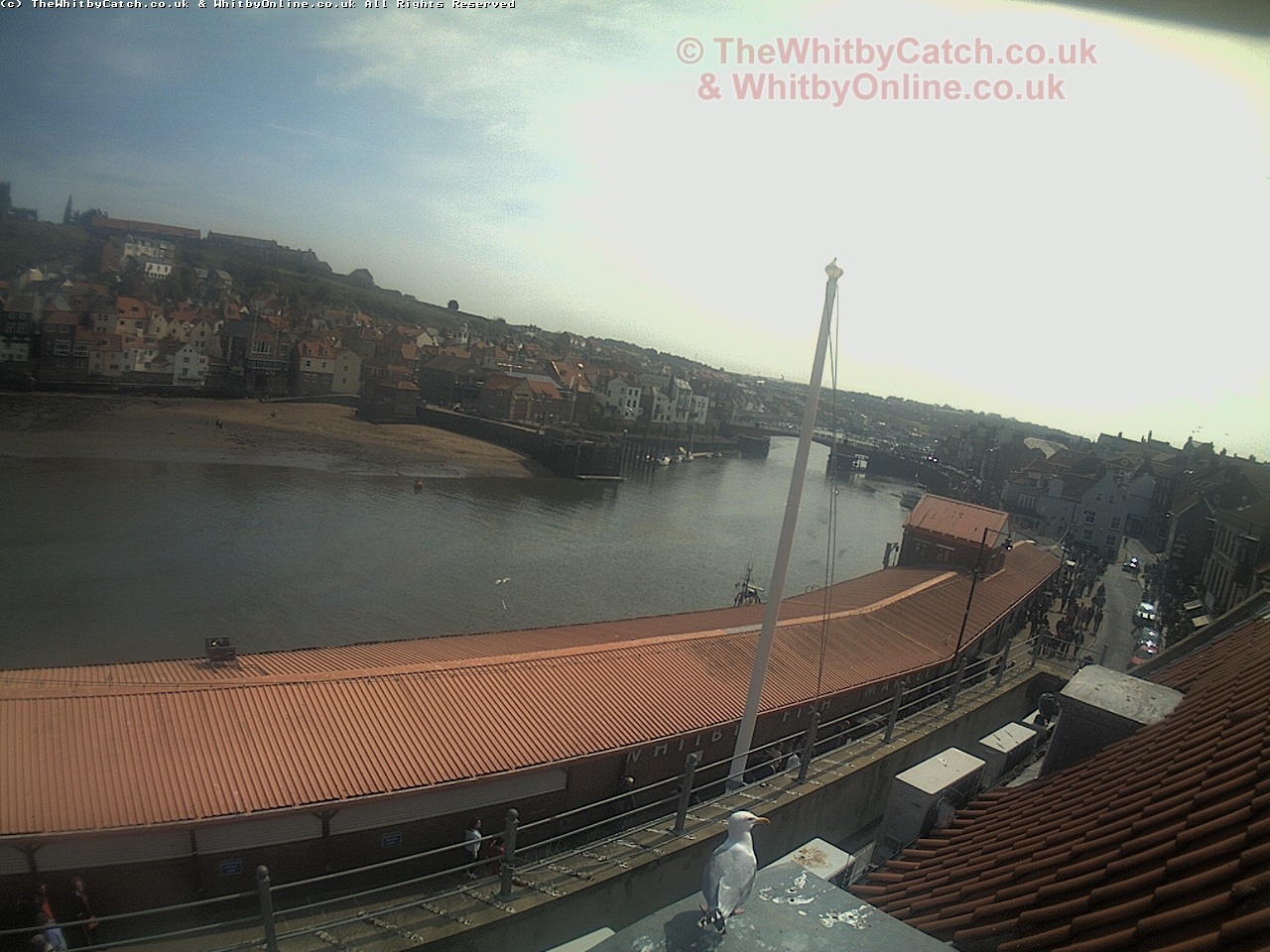 Whitby Sun 30th April 2017 13:03.