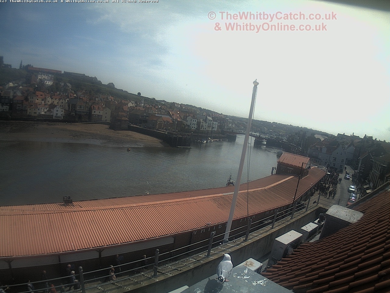 Whitby Sun 30th April 2017 13:04.